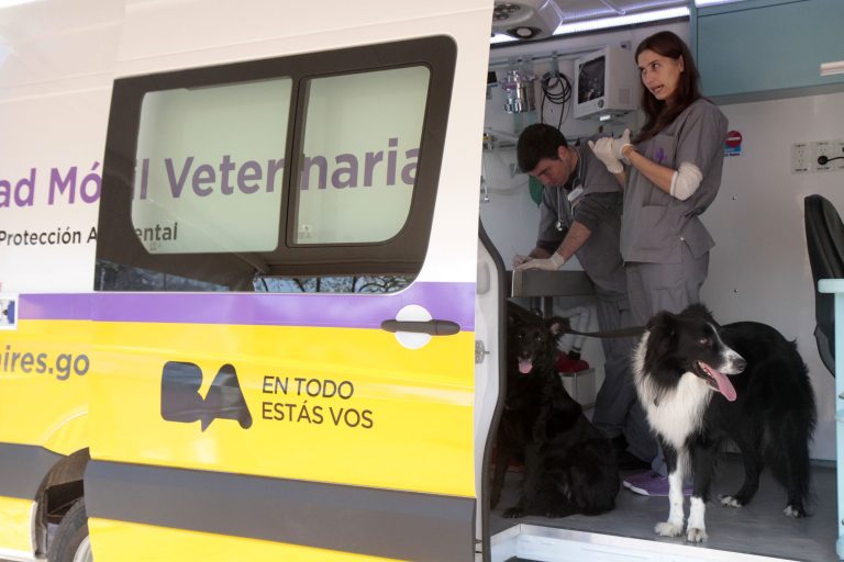 Veterinario gratis en los barrios de la Ciudad