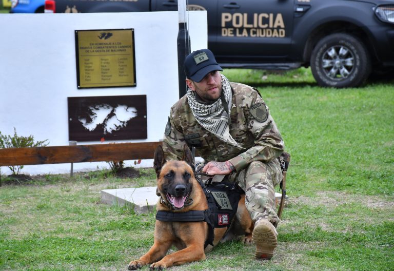 División K9 :   ¿cómo es la vida  de los canes policías de la Ciudad?