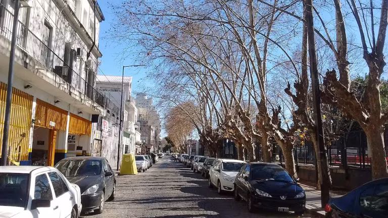 Avenida Crámer : el homenaje vivo a un oficial adversario de Rosas  